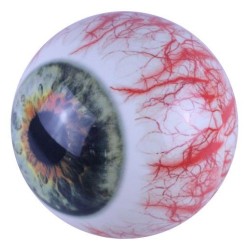 Winner 160 - Auge