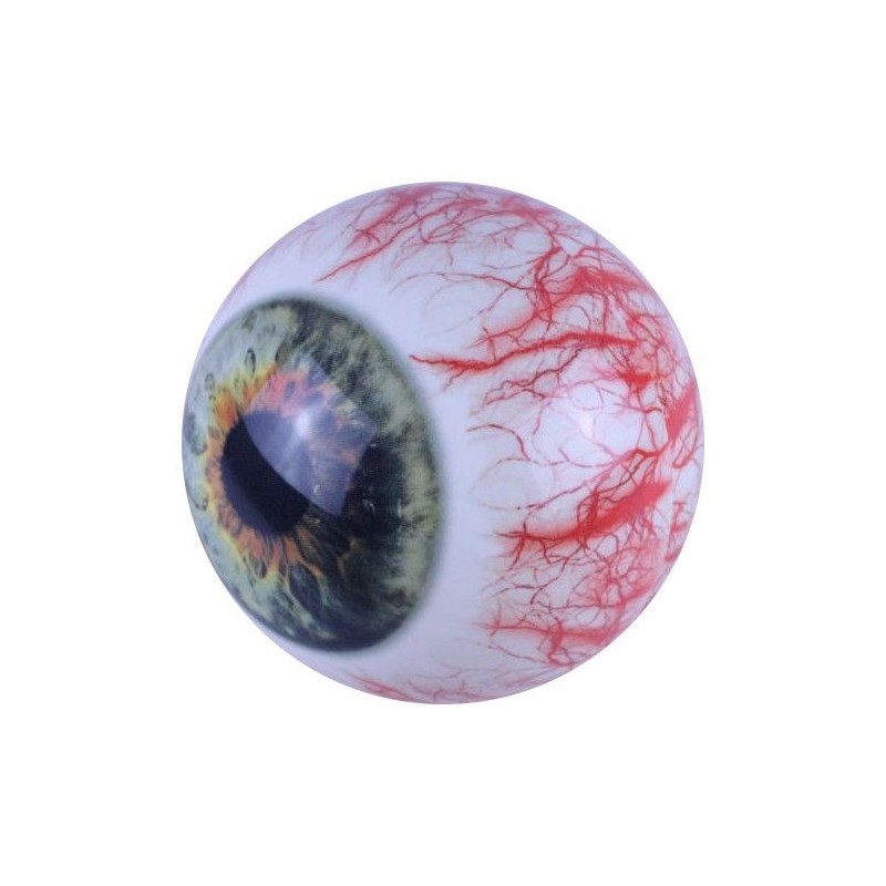 Winner 160 - Auge