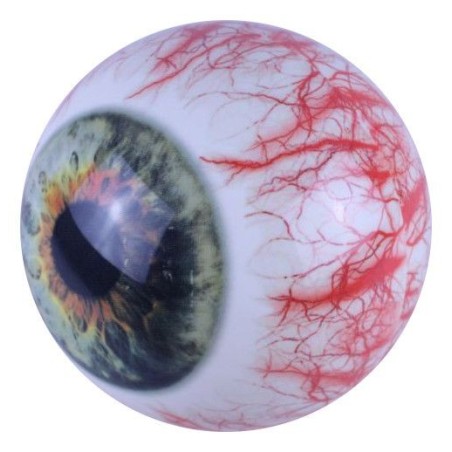 Winner 160 - Auge