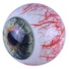 Winner 160 - Auge