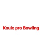 Koule pro Bowling